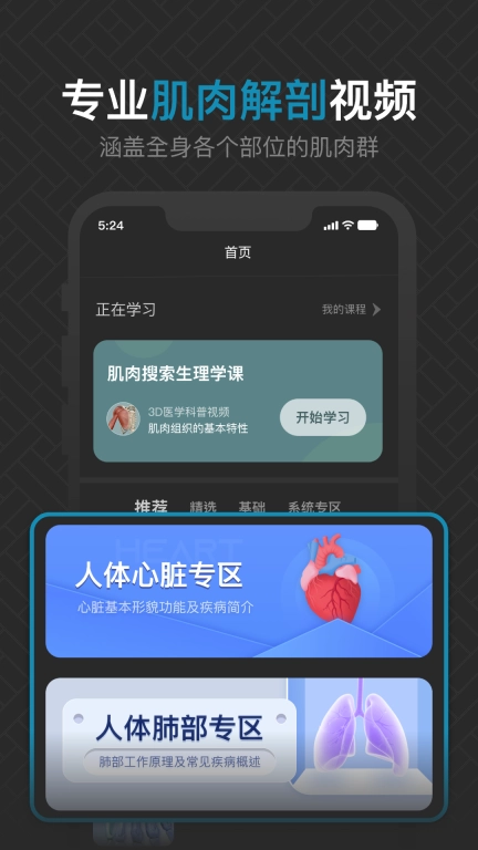 3D肌肉解剖-人体肌肉解剖图谱