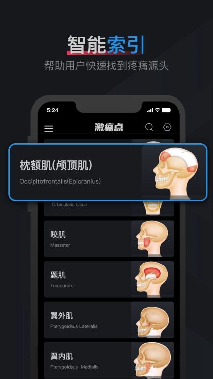 肌肉激痛点图谱-人体肌肉解剖图谱