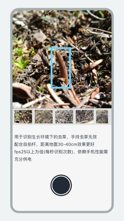 乐见虫草-AI发现虫草