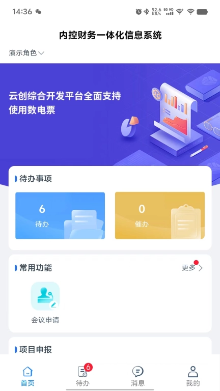 财务内控