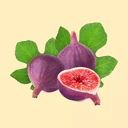 花果世界
