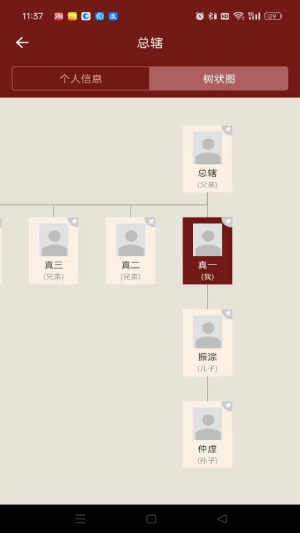 藤云家谱