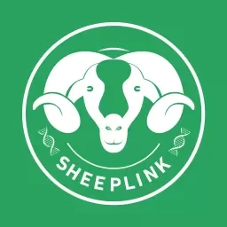 SheepLink