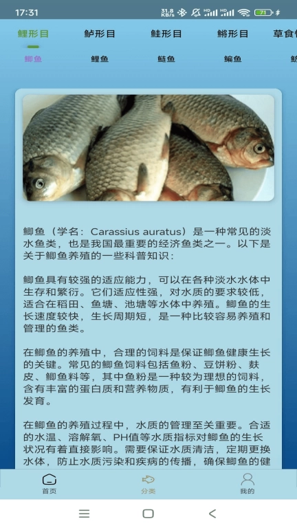 点点养殖