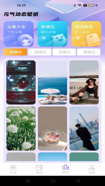 元汽动态壁纸-主题壁纸