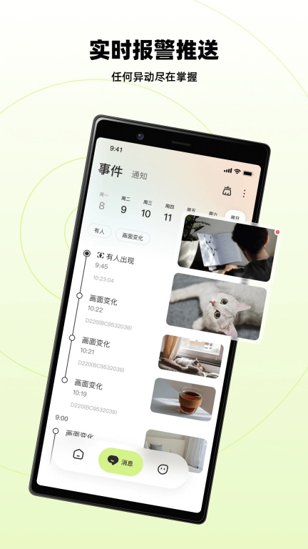 睛小豆