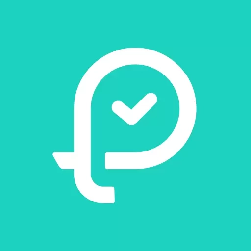 飞项PRO