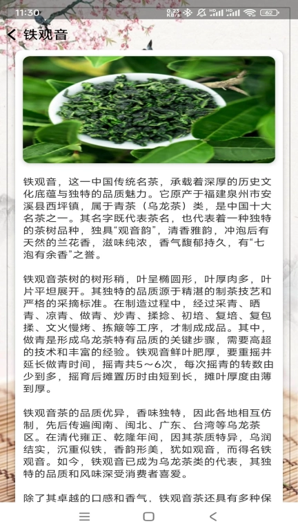 茶香乐园