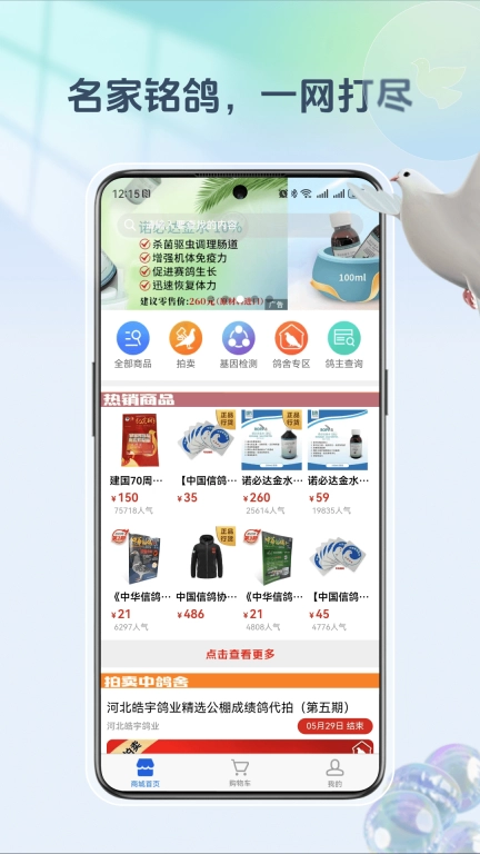 拍好鸽