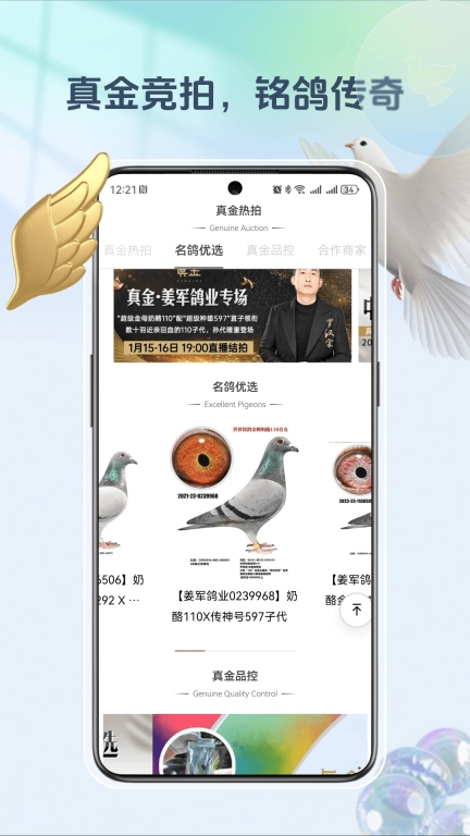 拍好鸽