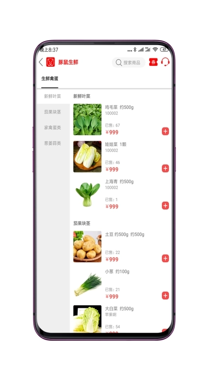豚鼠公社