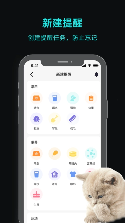 一聪小白