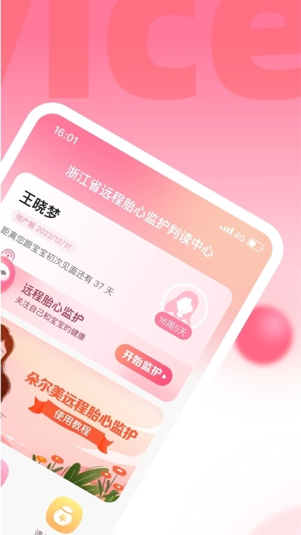 朵尔监护