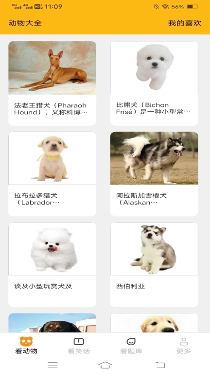 奇趣爱看