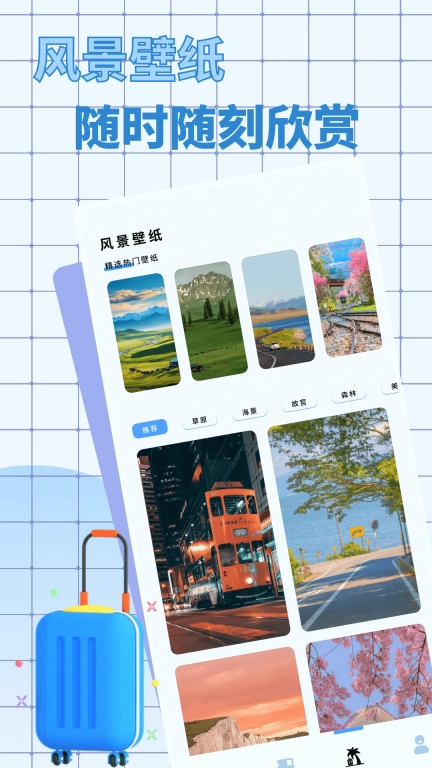 爱旅行的小猫