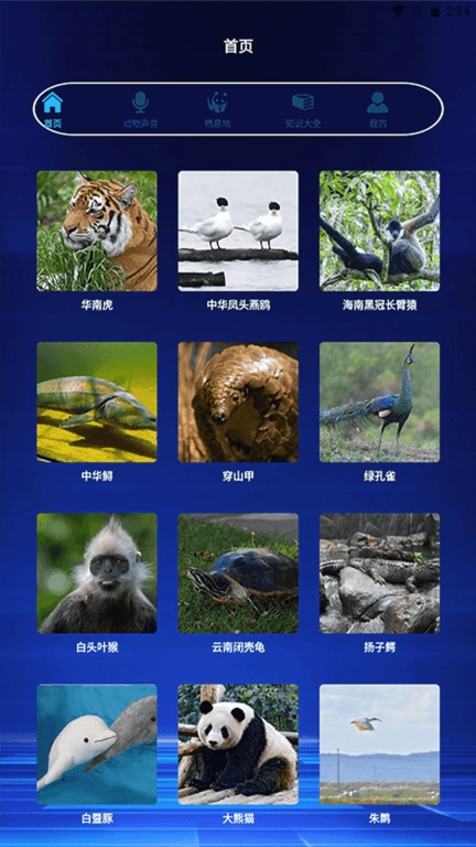 野兽领主动物百科