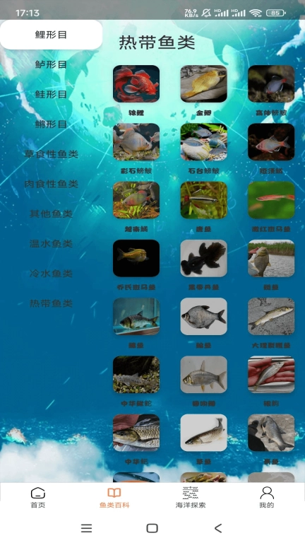 悠然鱼语