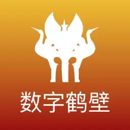 数字鹤壁