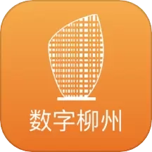 数字柳州