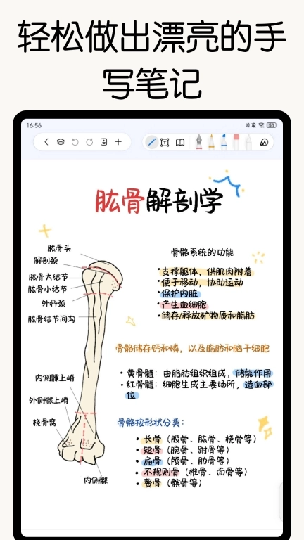 自由笔记-无纸化记笔记