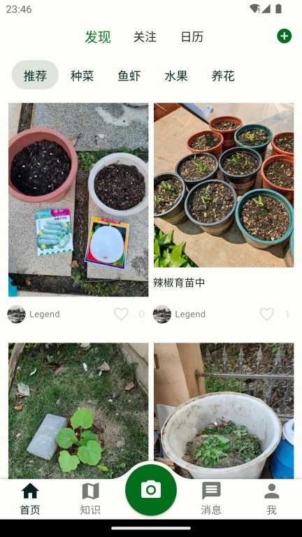 鱼菜记