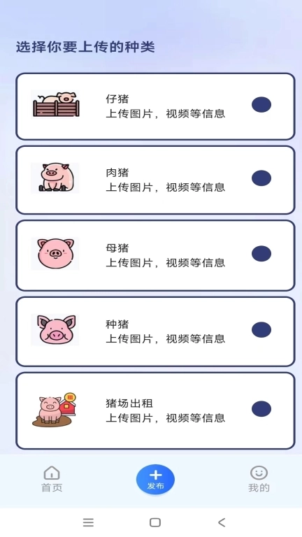 易猪宝