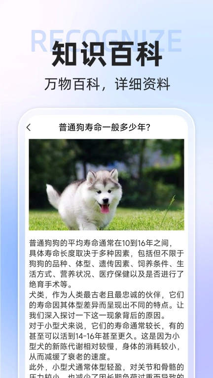 AI识动物相机