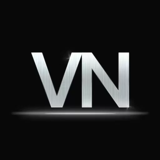 VN 威力导演