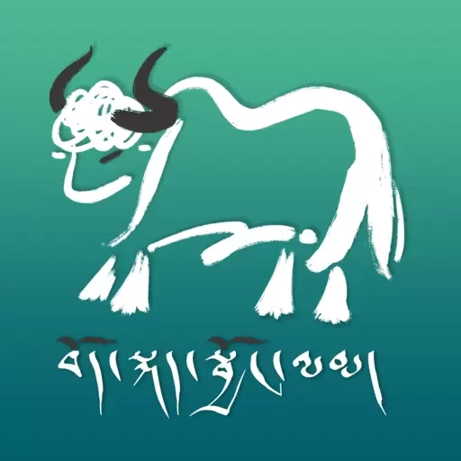 牦牦学藏语-藏语翻译学习藏区旅游