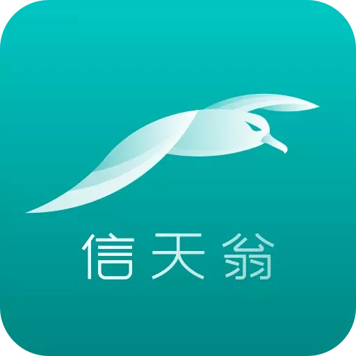 海信信天翁