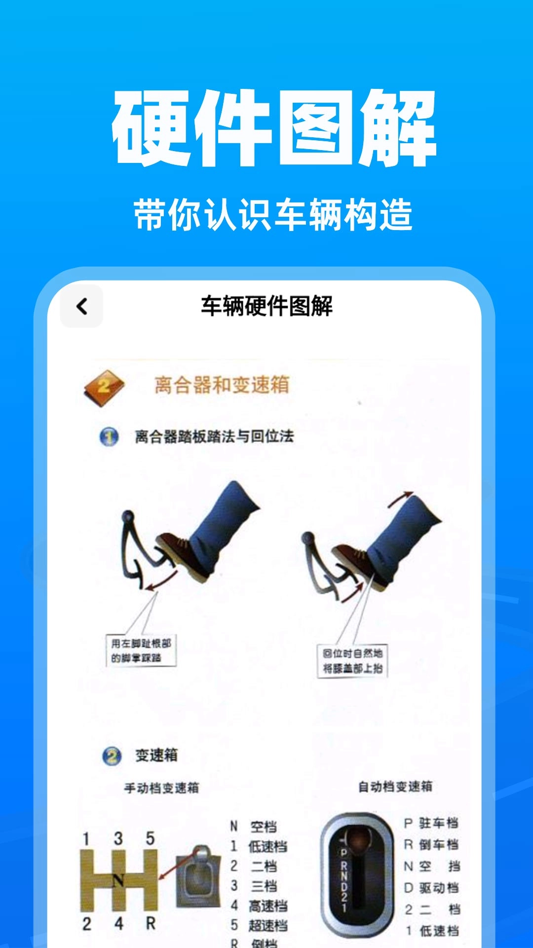 交通违章助手