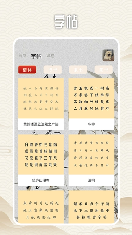 兔呼说