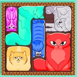萌猫挤一挤