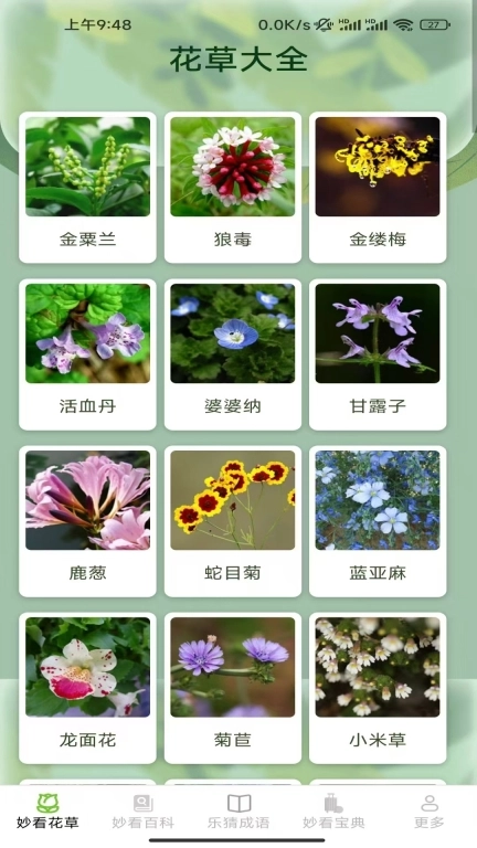 妙妙乐看屋