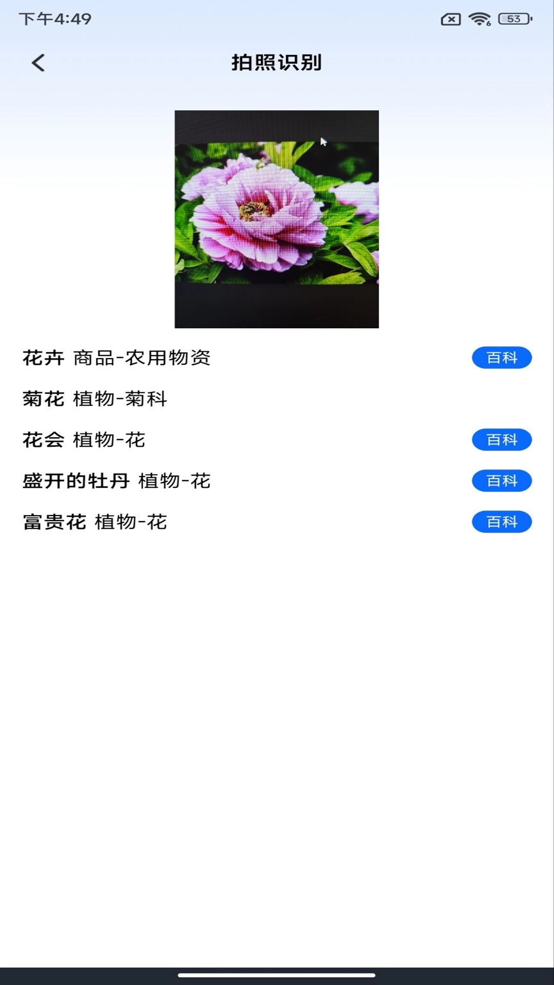 Al扫描王