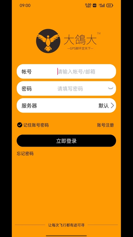 大鸽大