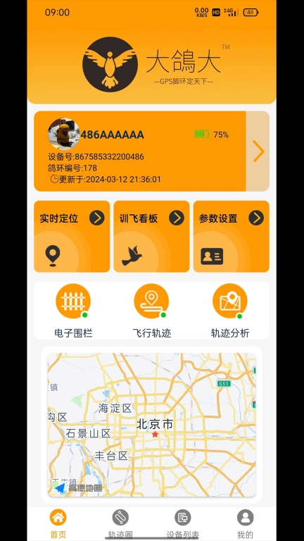 大鸽大