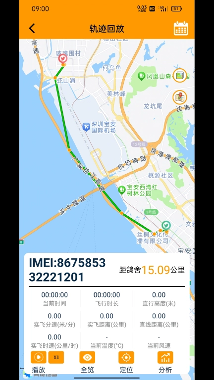 大鸽大