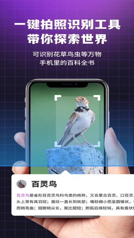 i浏览器无痕版
