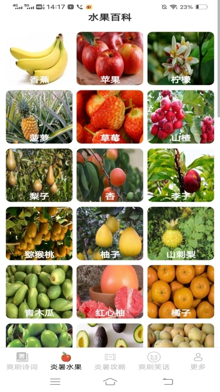 炎暑爽刷