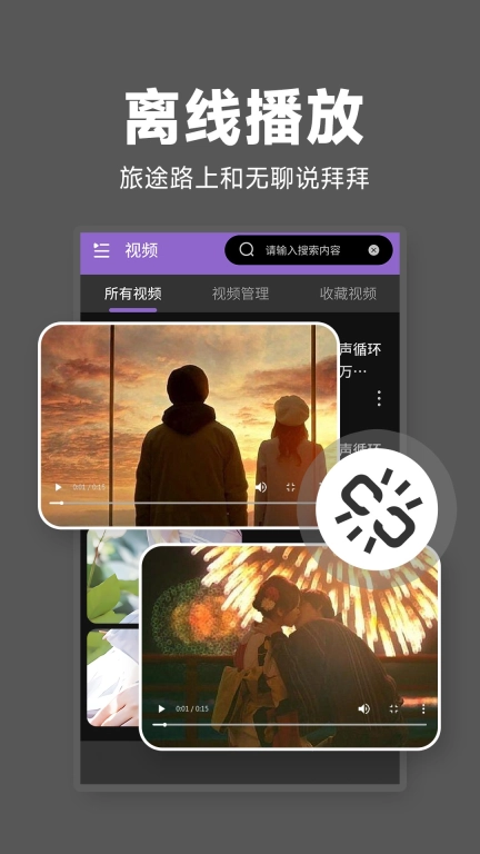秘密剧场播放器