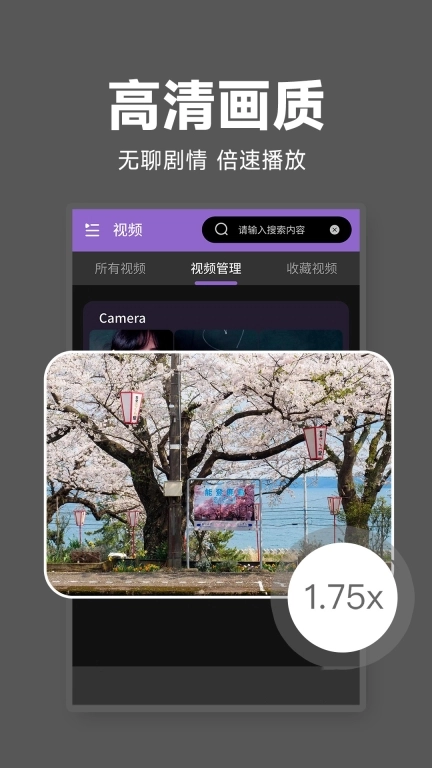 秘密剧场播放器