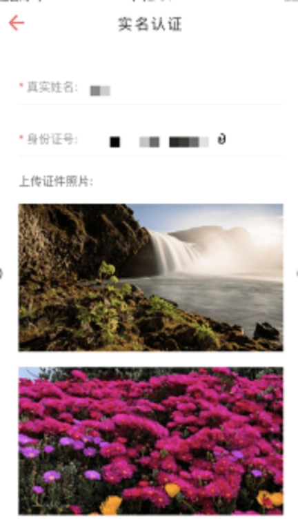 职由人个人版