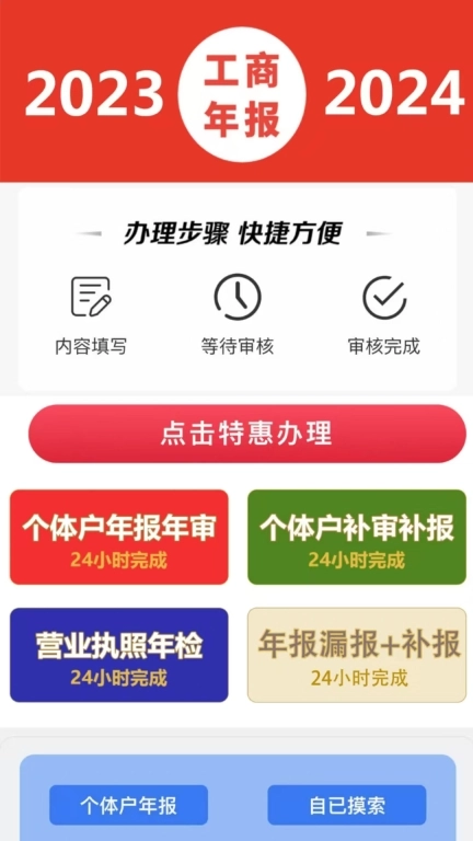 个体户年报