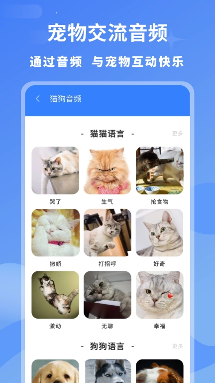 小白交流翻译