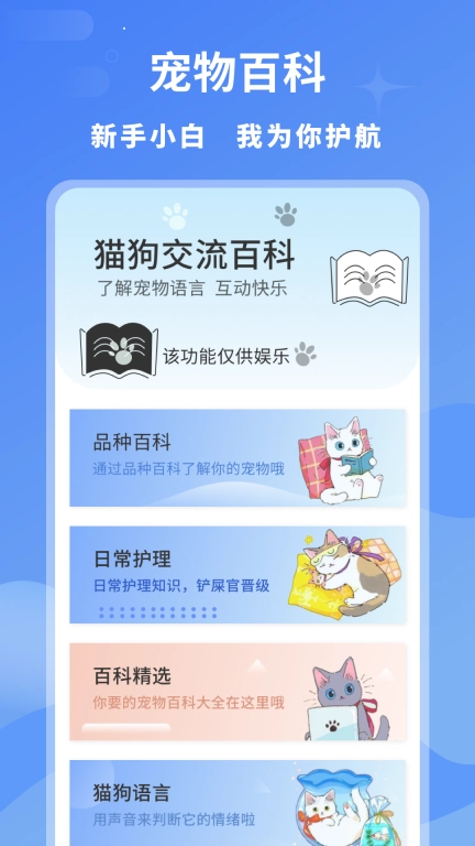 小白交流翻译
