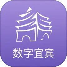 数字宜宾