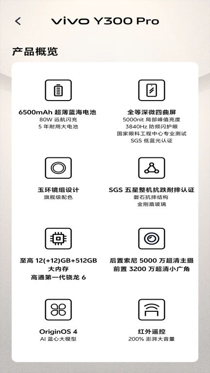 体验Y300 Pro
