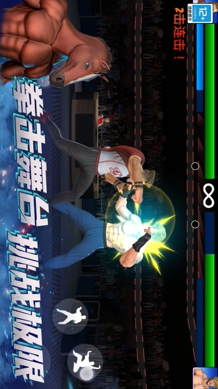 摔跤5