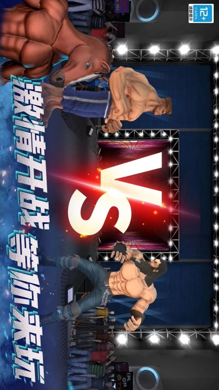 摔跤5